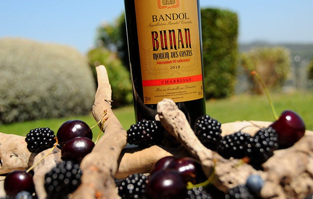 Visite domaine viticole Bandol charriage