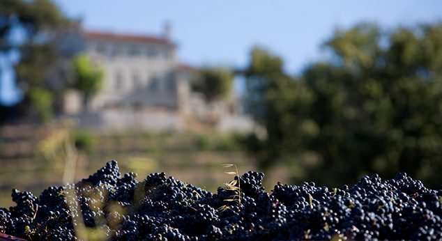 Domaines viticoles Bandol château rouvière