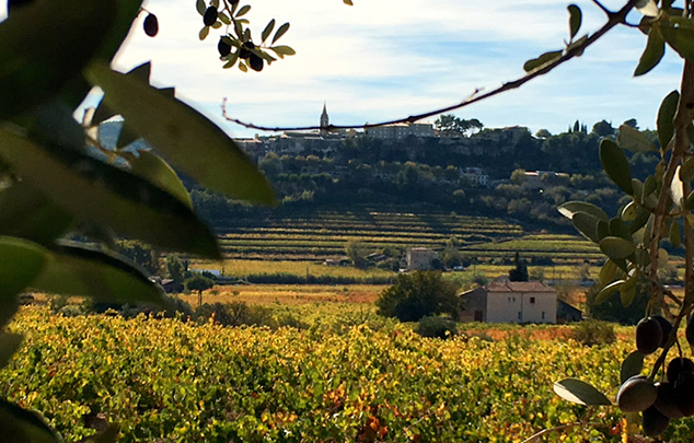 Domaines viticoles Bandol bélouvé