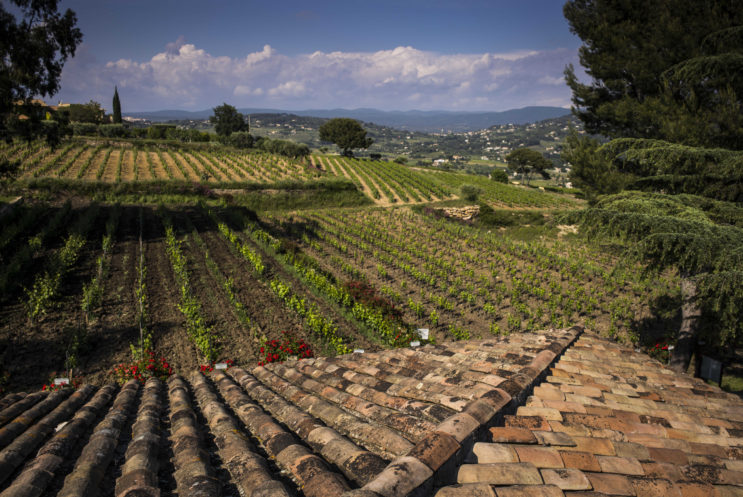 visite domaine viticole Bandol histoire vignoble